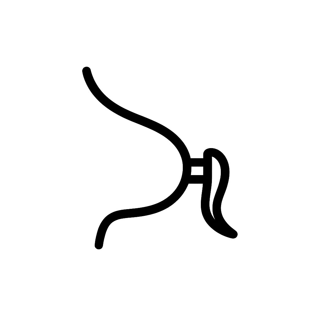 Alt Image